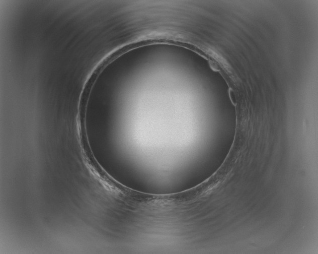 X0000074020888200609061112