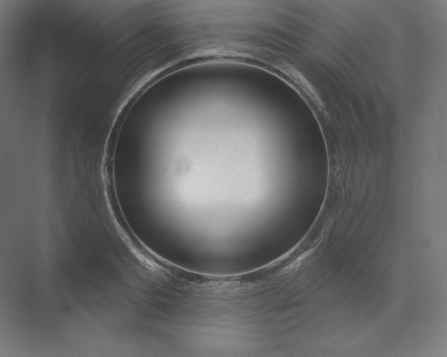 X0000074020893200609061112