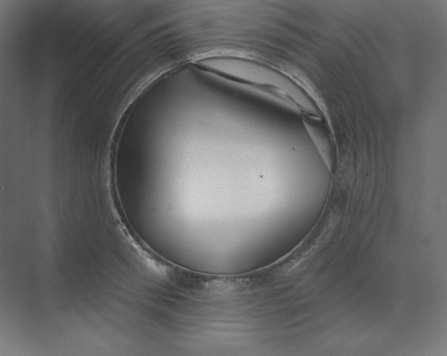 X0000074020898200609061112