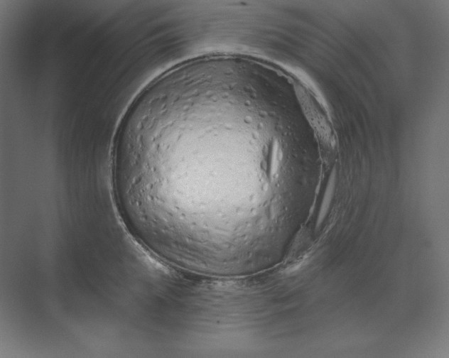 X0000074020903200609061112