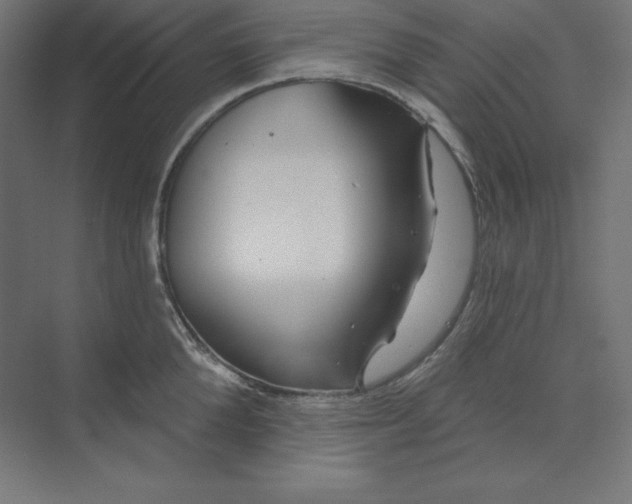 X0000074020904200609061112