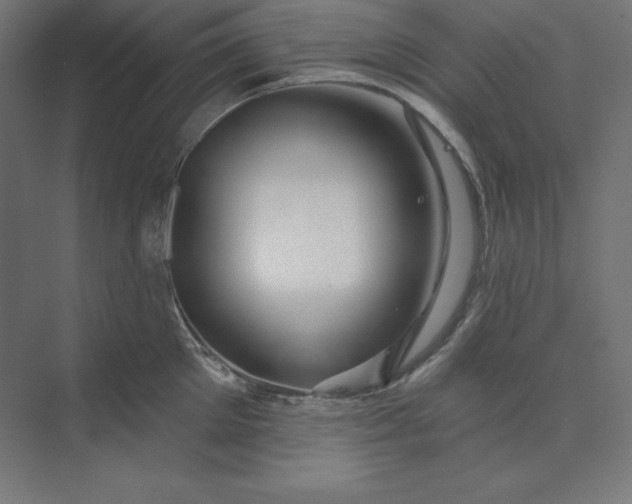 X0000074020905200609061112