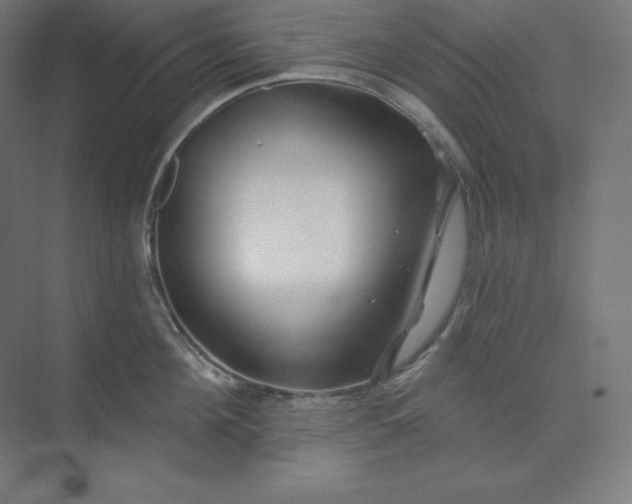 X0000074020908200609061112