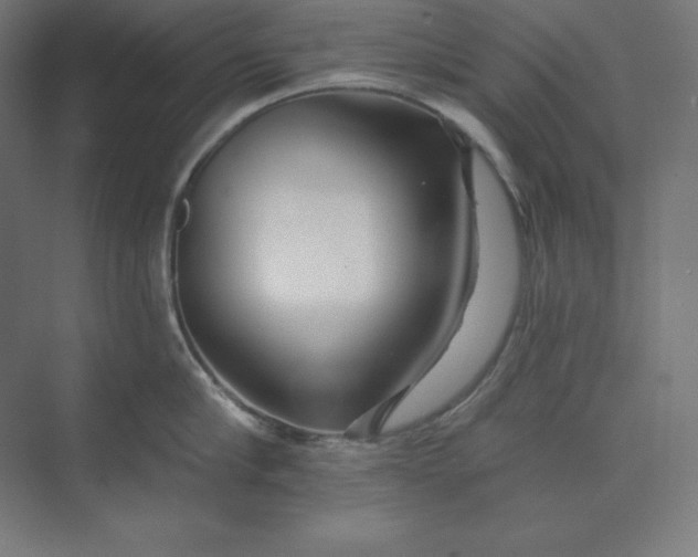 X0000074020910200609061112