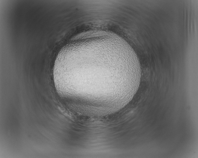 X0000074020913200609061111