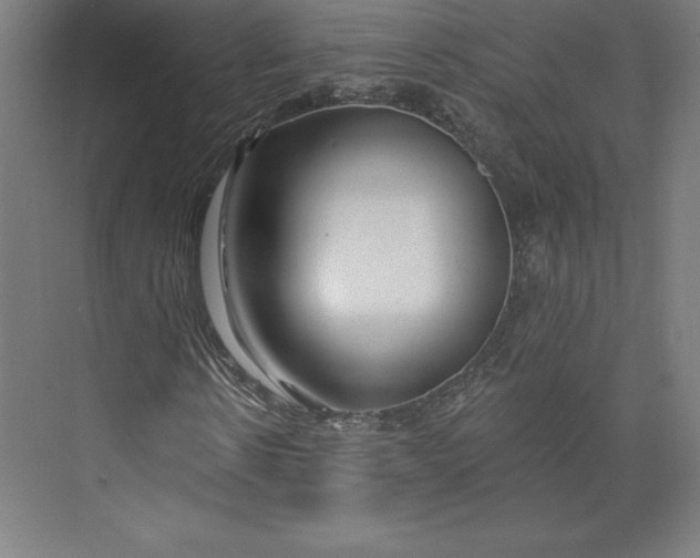 X0000074020914200609061111