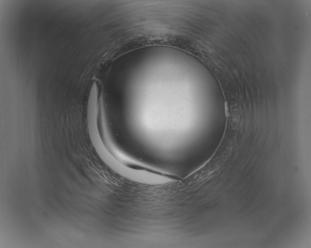 X0000074020916200609061111
