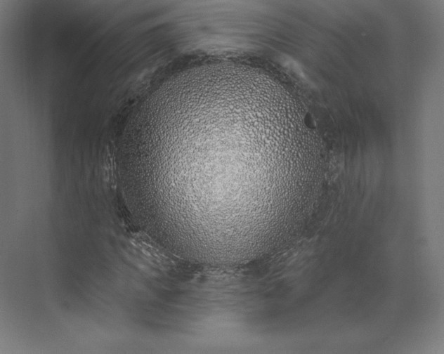 X0000074020917200609061111