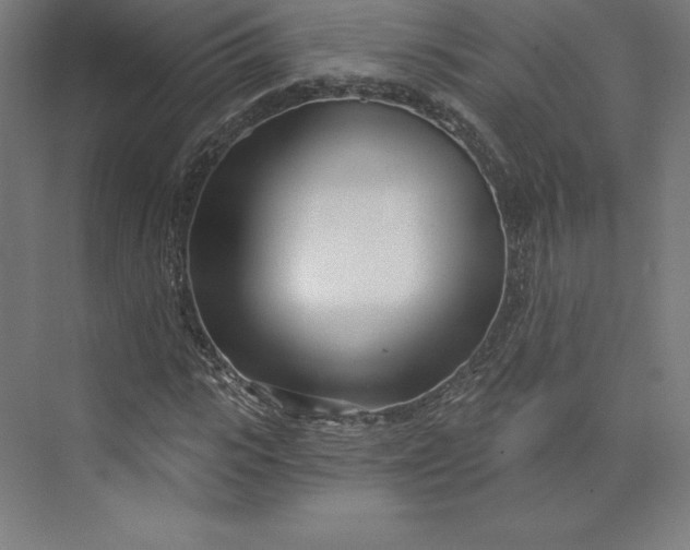 X0000074020919200609061111