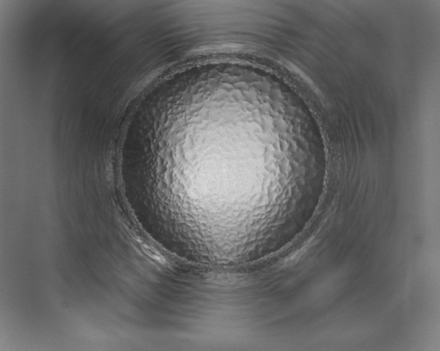 X0000074020921200609061111