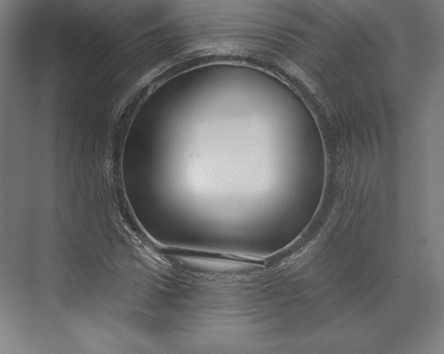 X0000074020922200609061111