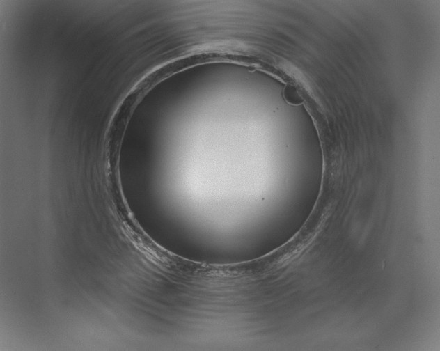 X0000074020923200609061111