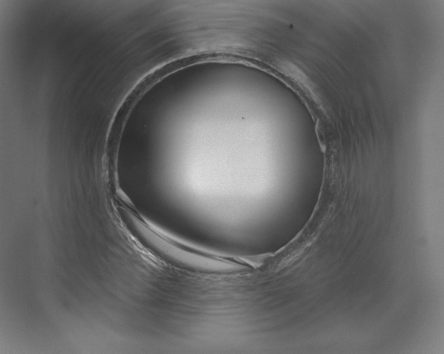 X0000074020924200609061111