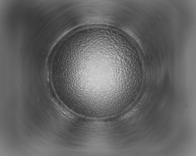 X0000074020925200609061111