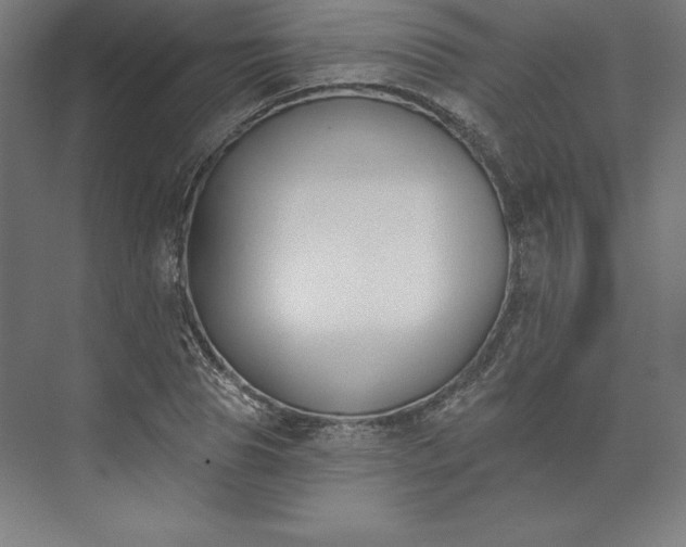X0000074020929200609061112