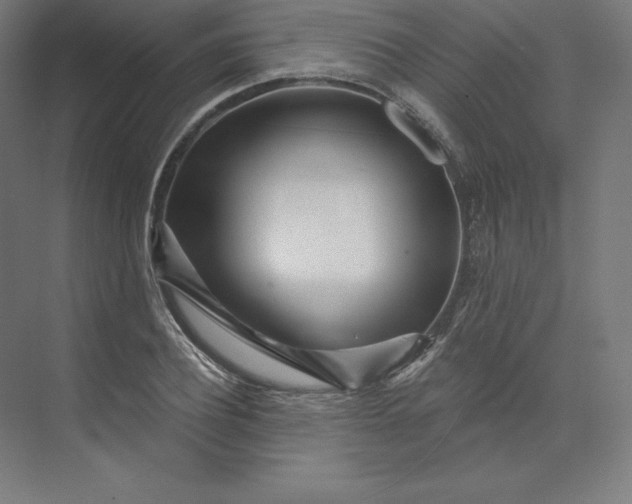 X0000074020932200609061112