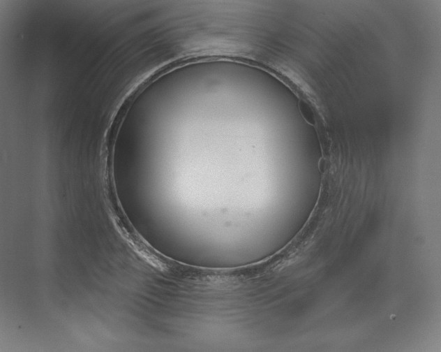X0000074020933200609061112