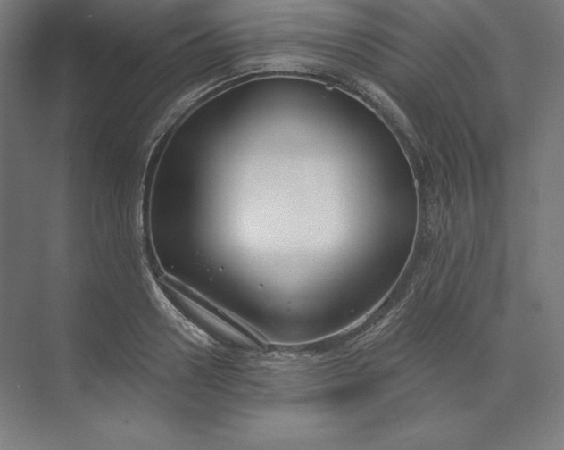 X0000074020938200609061112