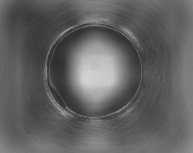 X0000074020940200609061112