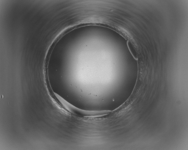 X0000074020942200609061112