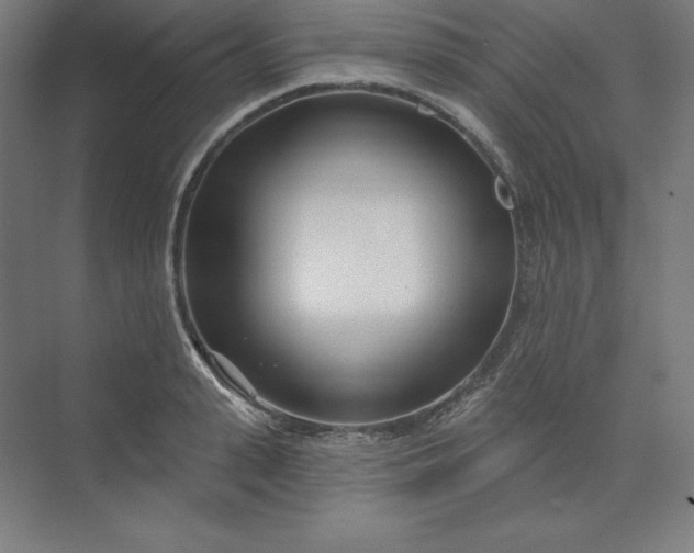 X0000074020943200609061112