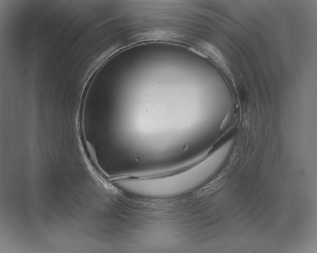 X0000074020946200609061112