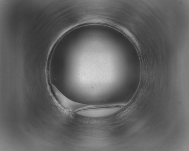 X0000074020951200609061112