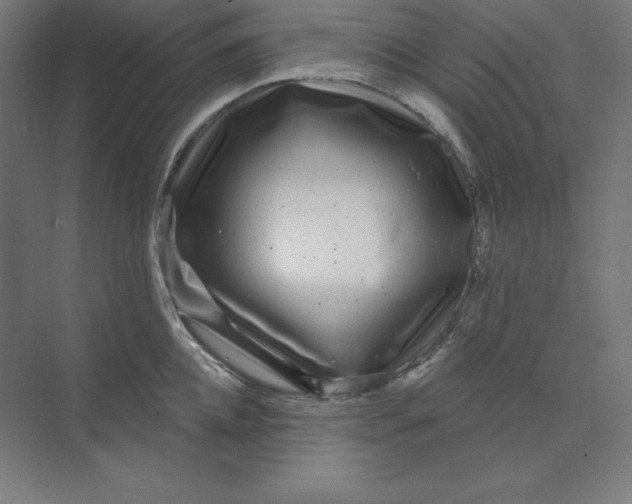 X0000074020952200609061112