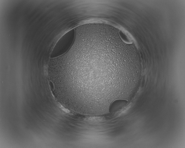 X0000074020953200609061112