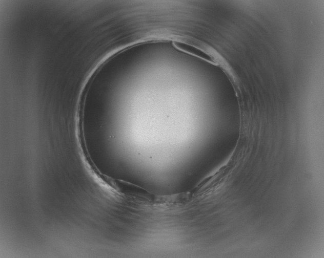 X0000074020955200609061112