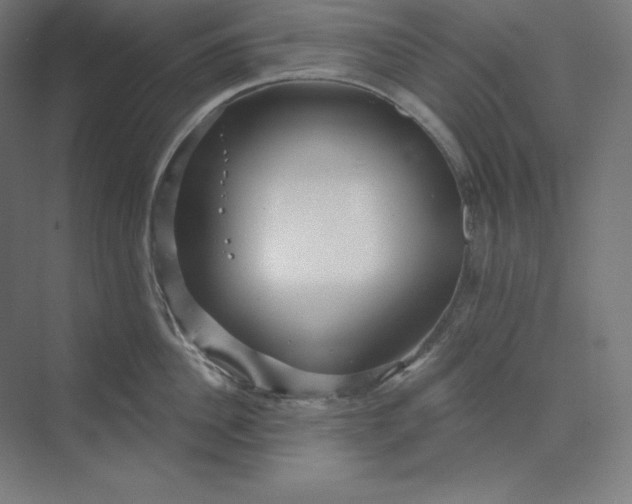 X0000074020956200609061112