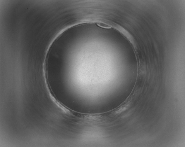 X0000074020958200609061112