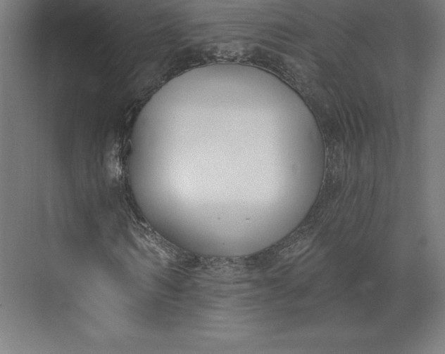 X0000074020962200609061111