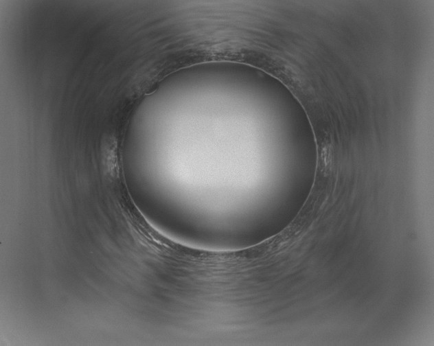 X0000074020963200609061111