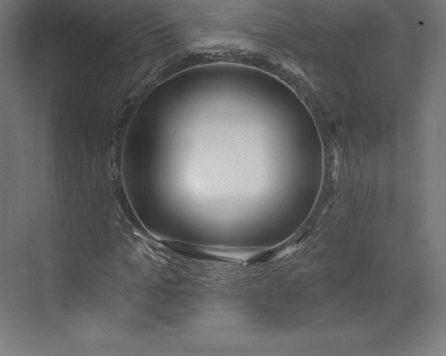 X0000074020965200609061111