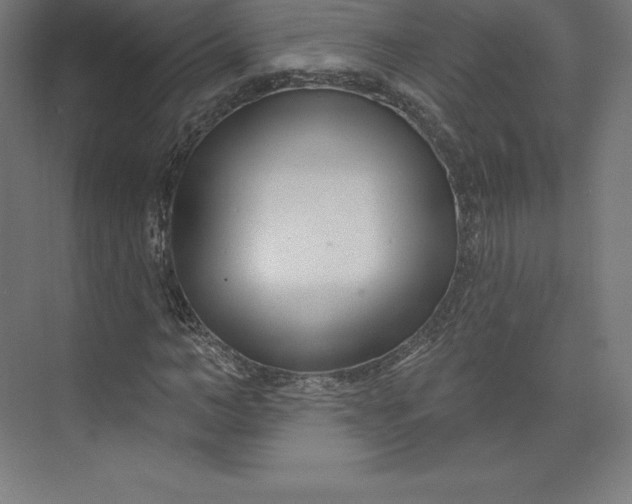 X0000074020966200609061111