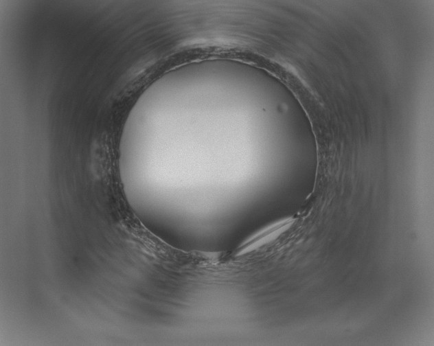 X0000074020967200609061111