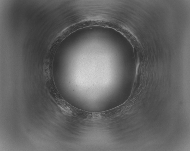 X0000074020968200609061111