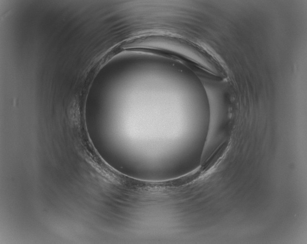X0000074020969200609061111