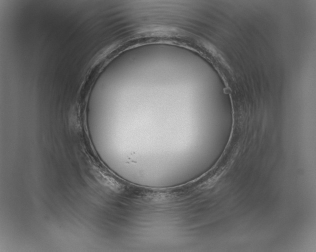 X0000074020970200609061111