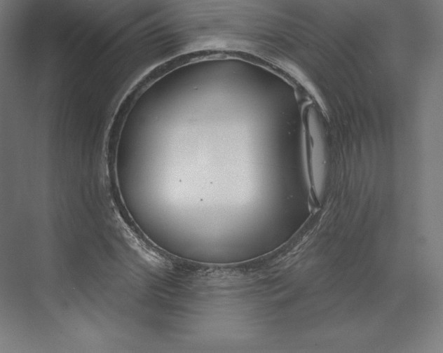 X0000074020972200609061111