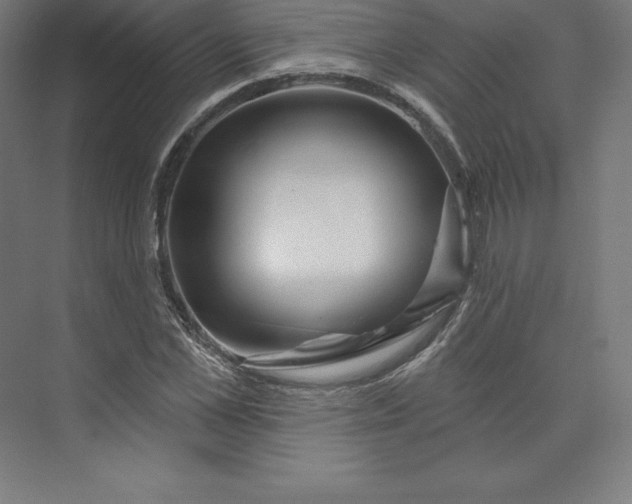 X0000074020973200609061111