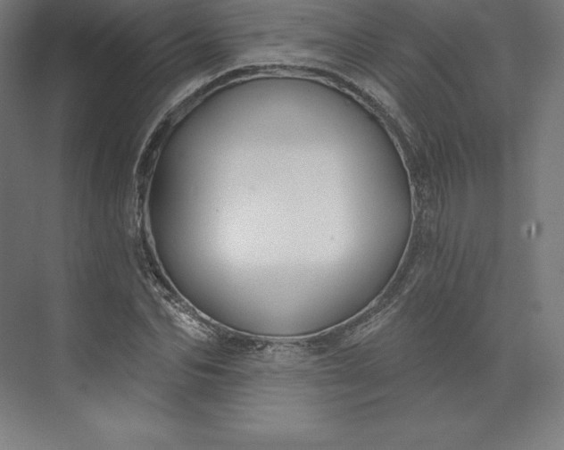 X0000074020974200609061111