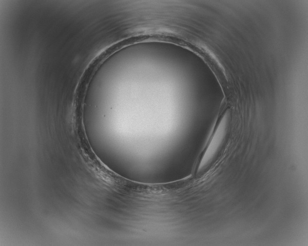 X0000074020975200609061111