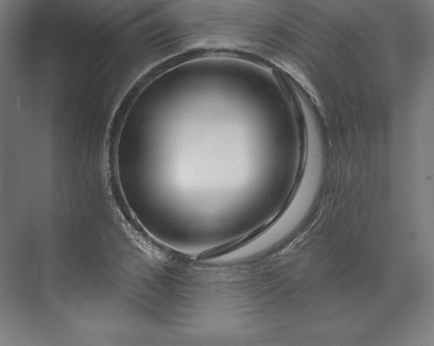 X0000074020976200609061111