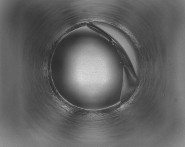X0000074020977200609061111