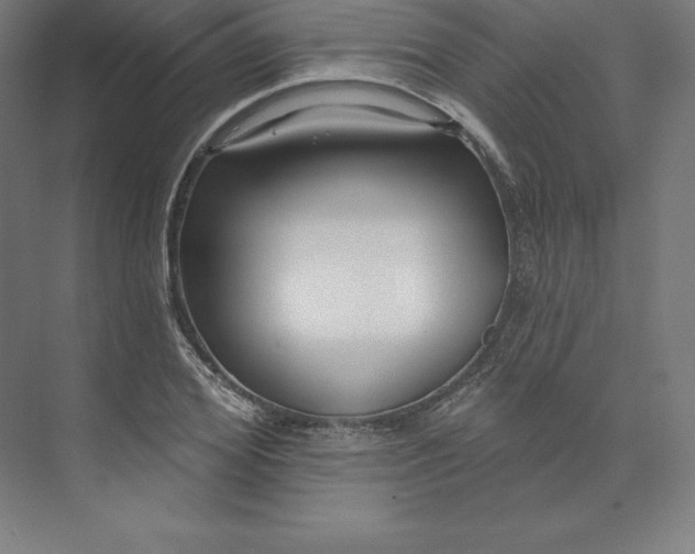 X0000074020980200609061111