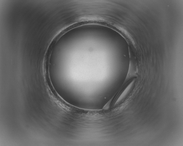 X0000074020983200609061111
