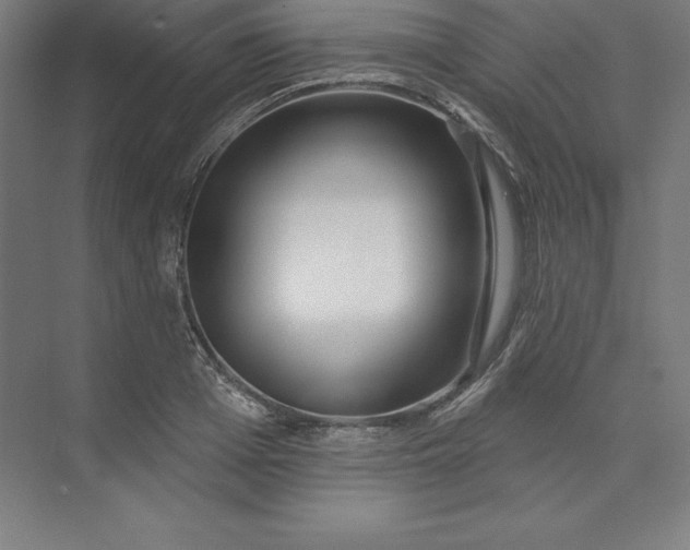 X0000074020985200609061111