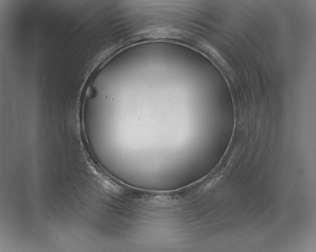 X0000074020986200609061111